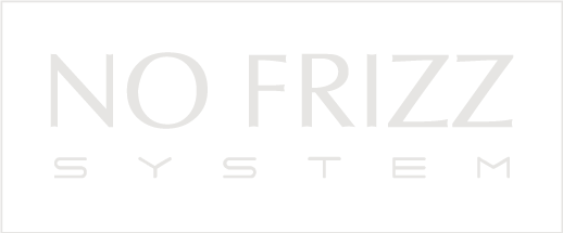 Logotipo No Frizz System