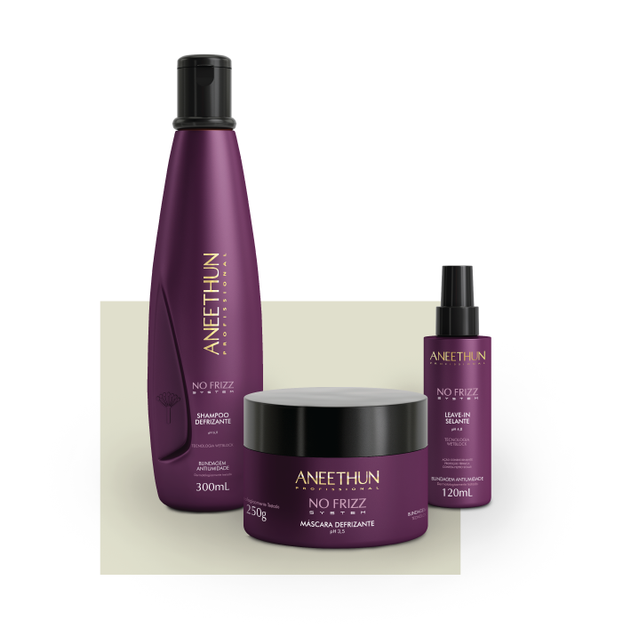 Kit de produtos da linha No Frizz: Shampoo, máscara e leave-in.